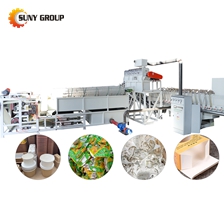 Paper Plastic Recycling Plant